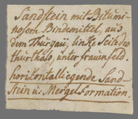 L 01325
<br/>
Label met opschrift
<br/>
<em>Escher von der Linth, Johannes Conrad (1767-1823)</em>